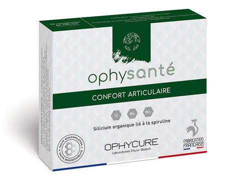 Ophy SANTE confort articulaire